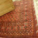 917 7498 ORIENTAL RUG